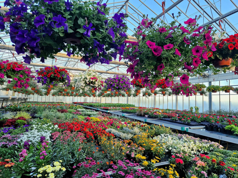 Ugodna vrtnarija Obala, Primorska