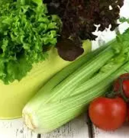 Ugodna zelenjava dolenjska