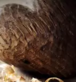 Ugodne mediapan plošče ljubljana