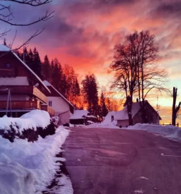 Ugodne nocitve krvavec