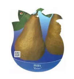 Ugodne sadike cerknica