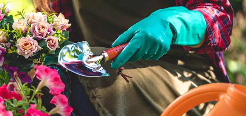 Ugodne sadike Cerknica