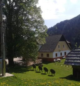 Sobe Logarska dolina