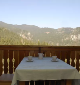 Lokostrelstvo nad Logarsko dolino