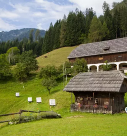 Ugodne sobe Logarska dolina