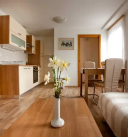 Ugodni apartmaji osrednja slovenija
