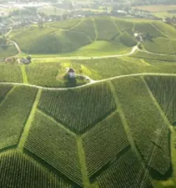 Ugodni apartmaji zrece