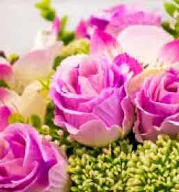 Cvetlični aranžmaji Ljubljana