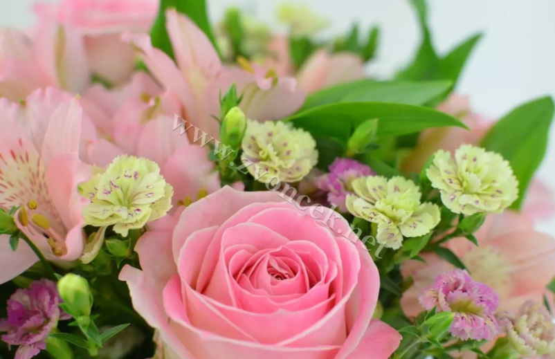 Ugodni darilni šopki