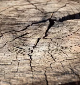 Ugodni leseni tramovi rovte logatec