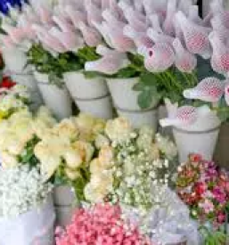 dobri porocni aranzmaji ljubljana