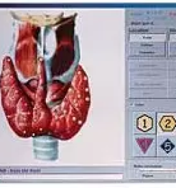 Ugodni shujsevalni programi ljubljana