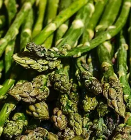 Ugodni sparglji lendava pomurska