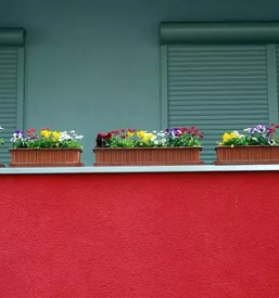 Ugodno balkonsko cvetje kranj