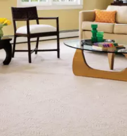 Ugodno ciscenje obalno kraska