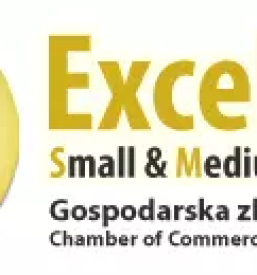 Ugodno generalno ciscenje goriska