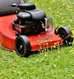 Ugodno obrezovanje dreves in zive meje ljubljana okolica