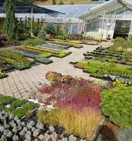 Ugodno urejanje okolice stajerska