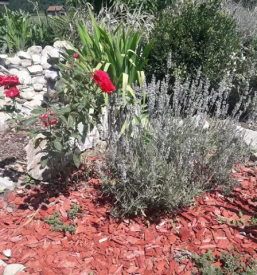 Sodobno urejanje vrtov Koper