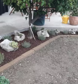 Kvalitetno urejanje vrtov Koper