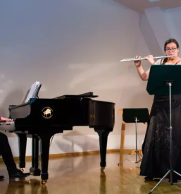 Umetniska gimnazija celje