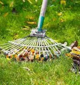 Izvajalec za rreditev žive meje Kranj