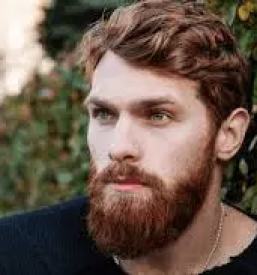 Urejanje brade jesenice