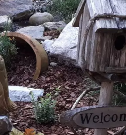 Urejanje dvorišč Kranj, okolica, Gorenjska