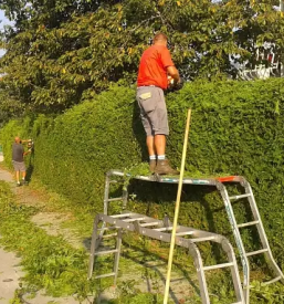 Urejanje dvorišč Gorenjska, Kranj