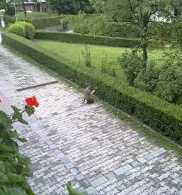 Urejanje dvorišč Kranj, okolica