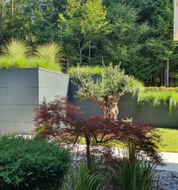 Urejanje okolice celje