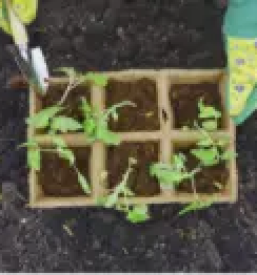 Urejanje okolice ljubljana