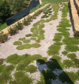 Ugodno urejanje okolice