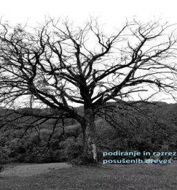 Urejanje okolja podravska