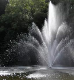 Urejanje okolja podravska