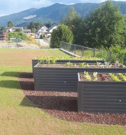 Urejanje vrtov Kranj, okolica