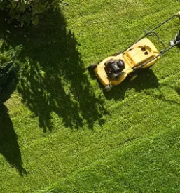 Urejanje vrtov maribor