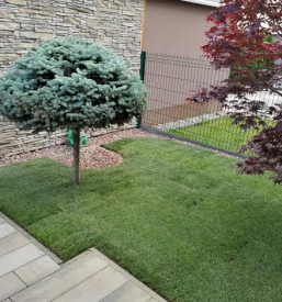 Urejanje vrtov maribor