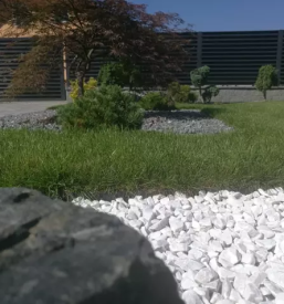 Urejanje vrtov maribor