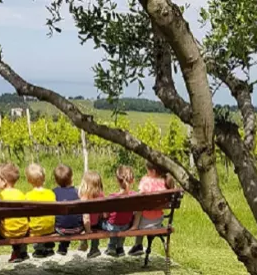 Športni vrtec Šiška