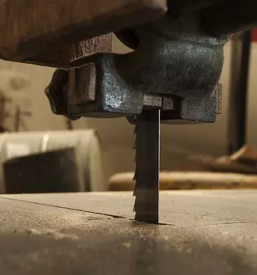 Veclistne zage ljubljana