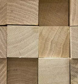 Veclistne zage ljubljana