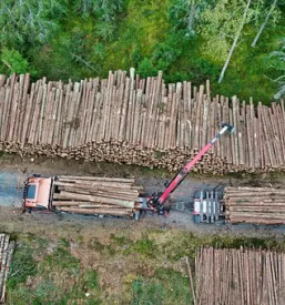 Veleprodaja in dostava hlodovine gorenjska osrednja slovenija