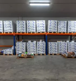 Veleprodaja mlecnih izdelkov v sloveniji