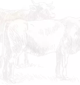 Verkauf von rohmilch slowenien