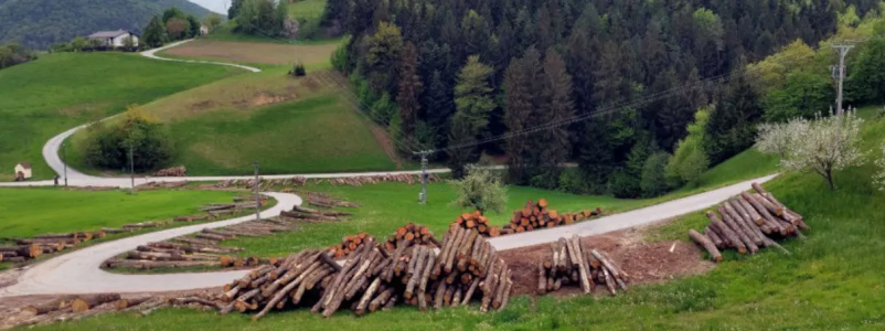 Ich suche ein Unternehmen, dass Verkauf von Schnittholz in Slowenien anbietet
