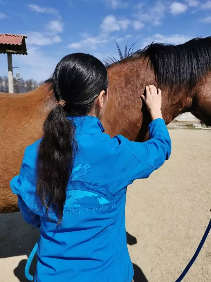 Veterinar za konje Ljubljana