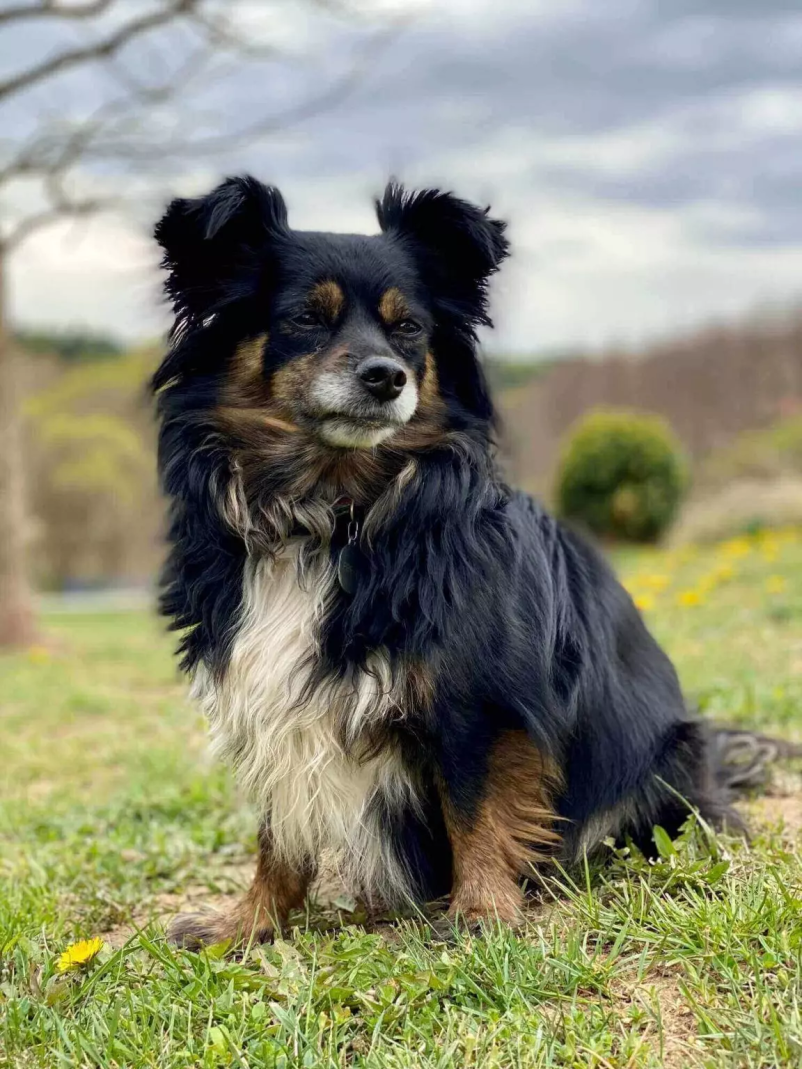 Iščete veterinarsko ambulanto v regiji Osrednja Slovenija