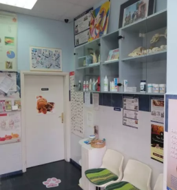 Veterinarska bolnica Vipava, Primorska