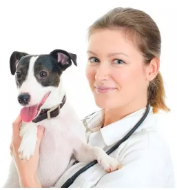 Strokovna veterinarska bolnica Vipava